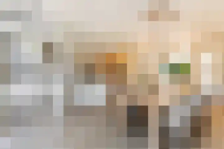 Frederik Hendriklaan 5 Woerden thumbnail 18