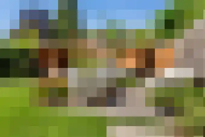 Frederik Hendriklaan 5 Woerden thumbnail 25