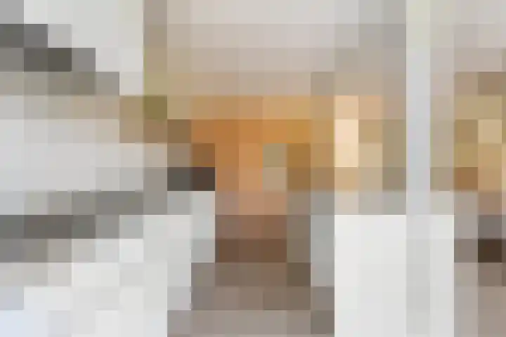 Frederik Hendriklaan 5 Woerden thumbnail 33