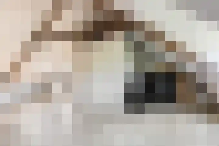 Frederik Hendriklaan 5 Woerden thumbnail 55