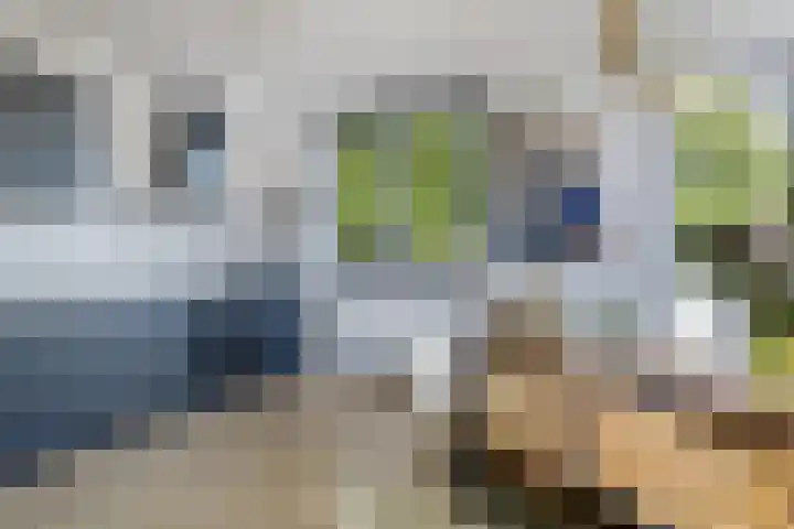 Frederik Hendriklaan 50 Heerenveen thumbnail 10