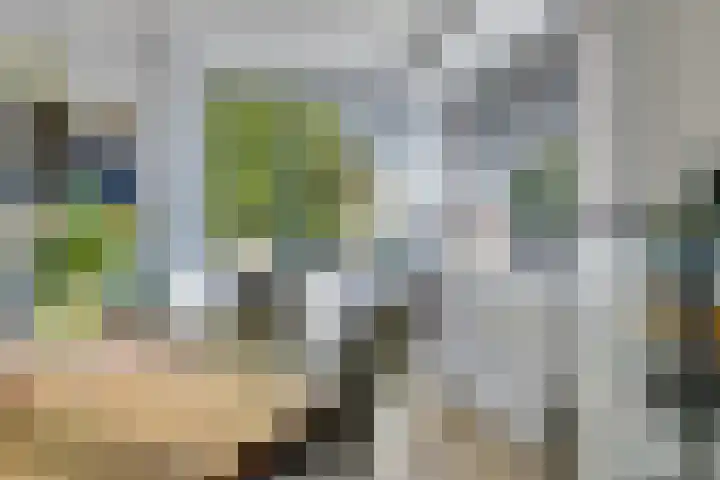 Frederik Hendriklaan 50 Heerenveen thumbnail 7