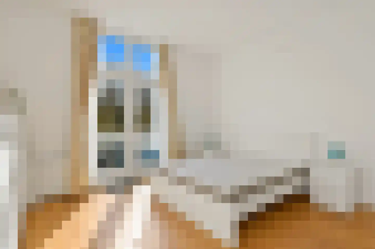 Frederik Hendriklaan 52 B Den Haag thumbnail 22