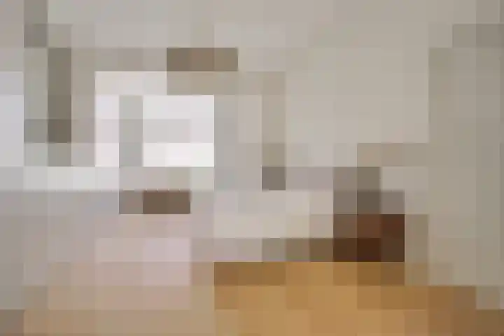 Frederik Hendriklaan 53 Den Haag thumbnail 36