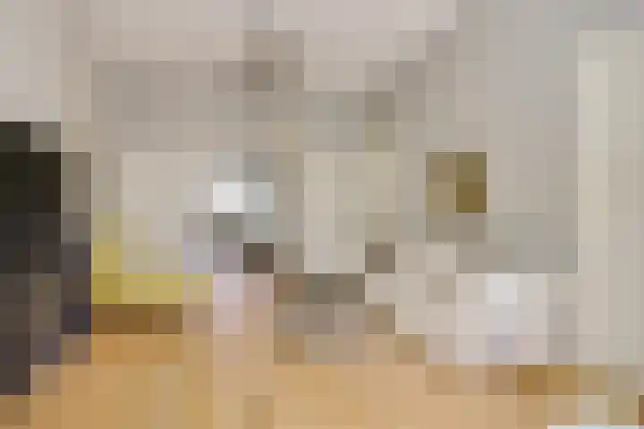Frederik Hendriklaan 53 Den Haag thumbnail 38