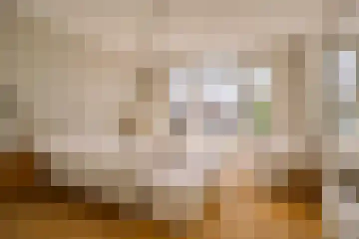 Frederik Hendriklaan 53 Den Haag thumbnail 52