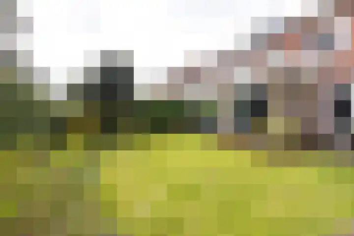 Frederik Hendriklaan 56 Haarlem thumbnail 17