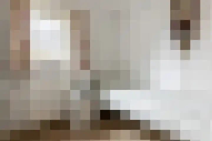 Frederik Hendriklaan 56 Haarlem thumbnail 31