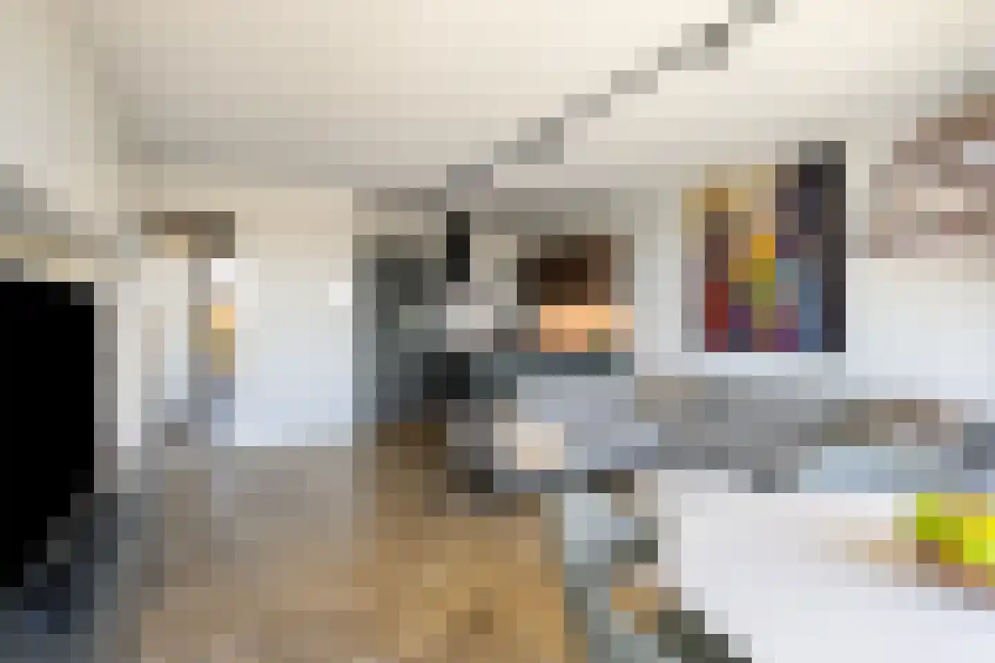 Frederik Hendriklaan 58 B 08 Maastricht thumbnail 10