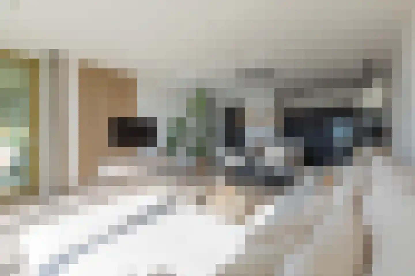 Frederik Hendriklaan 58 D 03 Maastricht thumbnail 8