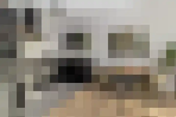 Frederik Hendriklaan 58 E 07 Maastricht thumbnail 16