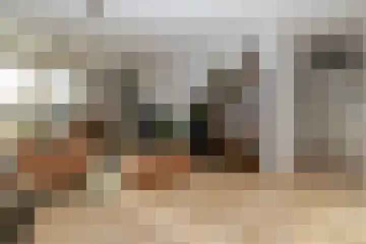 Frederik Hendriklaan 58 E 07 Maastricht thumbnail 17