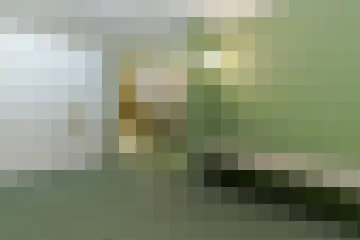 Frederik Hendriklaan 58 E 07 Maastricht thumbnail 22