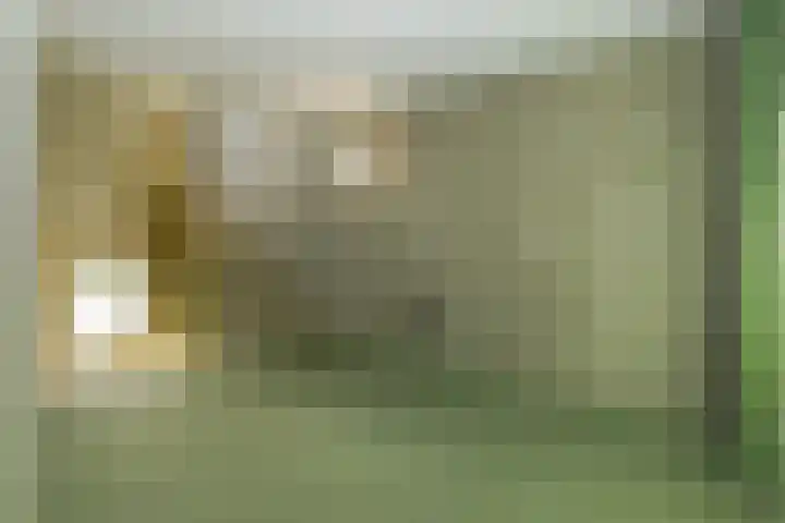 Frederik Hendriklaan 58 E 07 Maastricht thumbnail 9