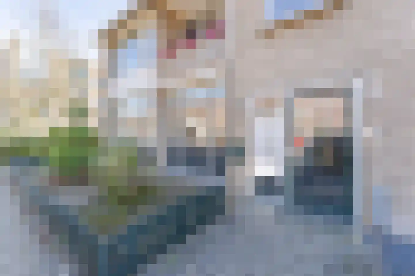 Frederik Hendriklaan 6 Waddinxveen thumbnail 5