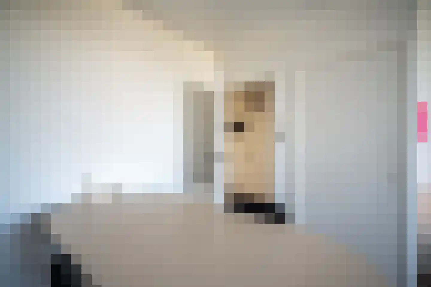Frederik Hendriklaan 66 Leiderdorp thumbnail 15
