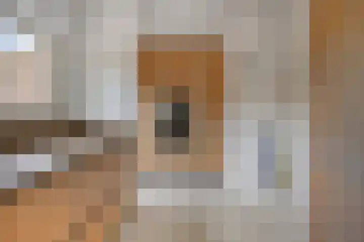 Frederik Hendriklaan 7 Rosmalen thumbnail 19