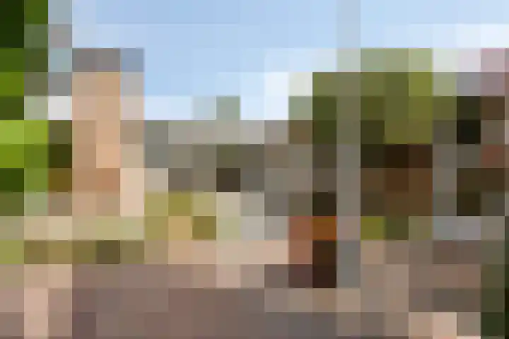 Frederik Hendriklaan 7 Rosmalen thumbnail 44