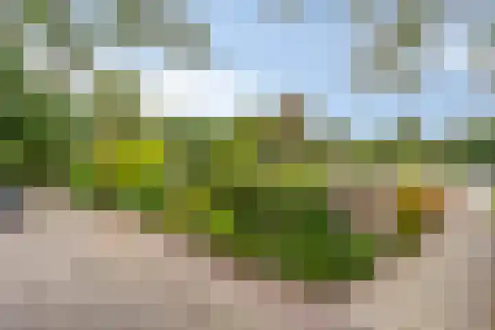 Frederik Hendriklaan 7 Rosmalen thumbnail 50