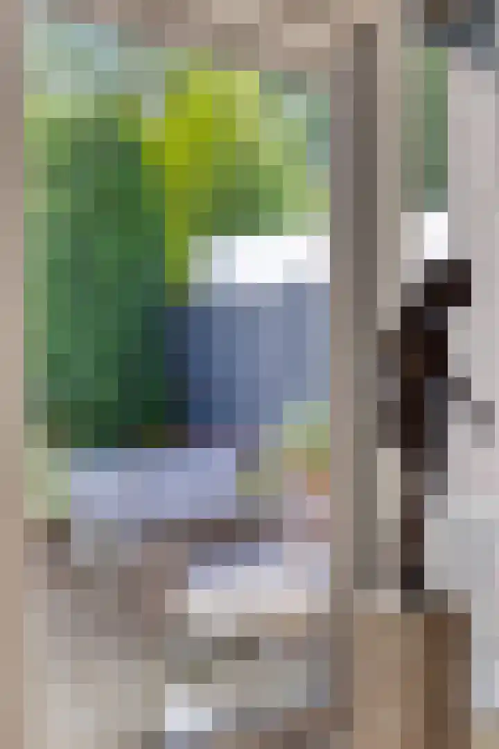Frederik Hendriklaan 7 Rosmalen thumbnail 8