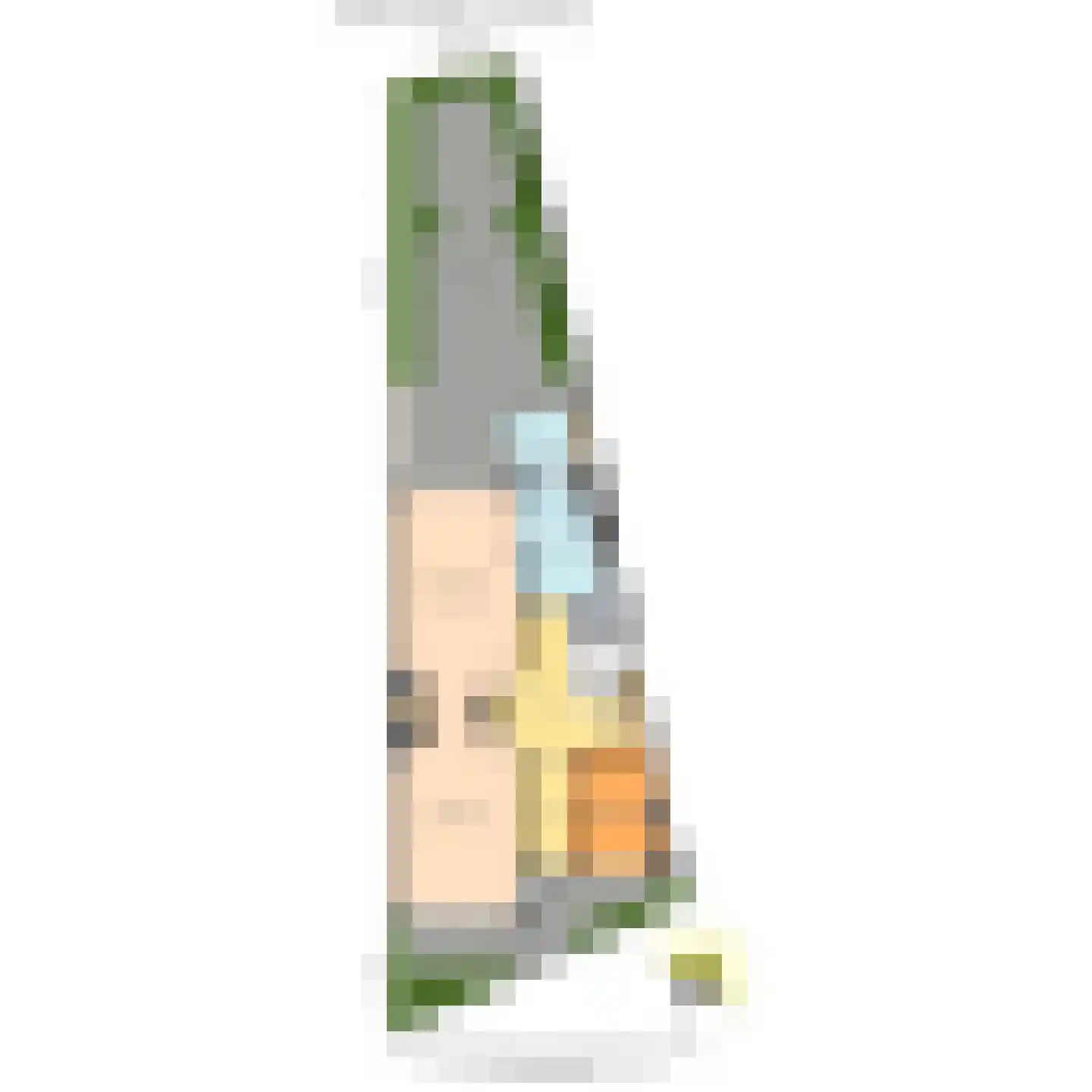 Frederik Hendriklaan 9 Den Haag thumbnail 81