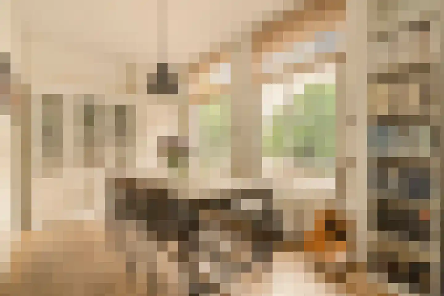 Frederik Hendrikplantsoen 100 1 Amsterdam thumbnail 6