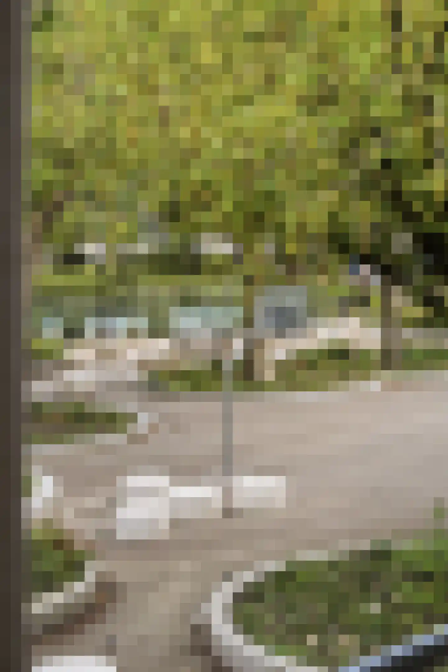 Frederik Hendrikplantsoen 11 B Amsterdam thumbnail 15