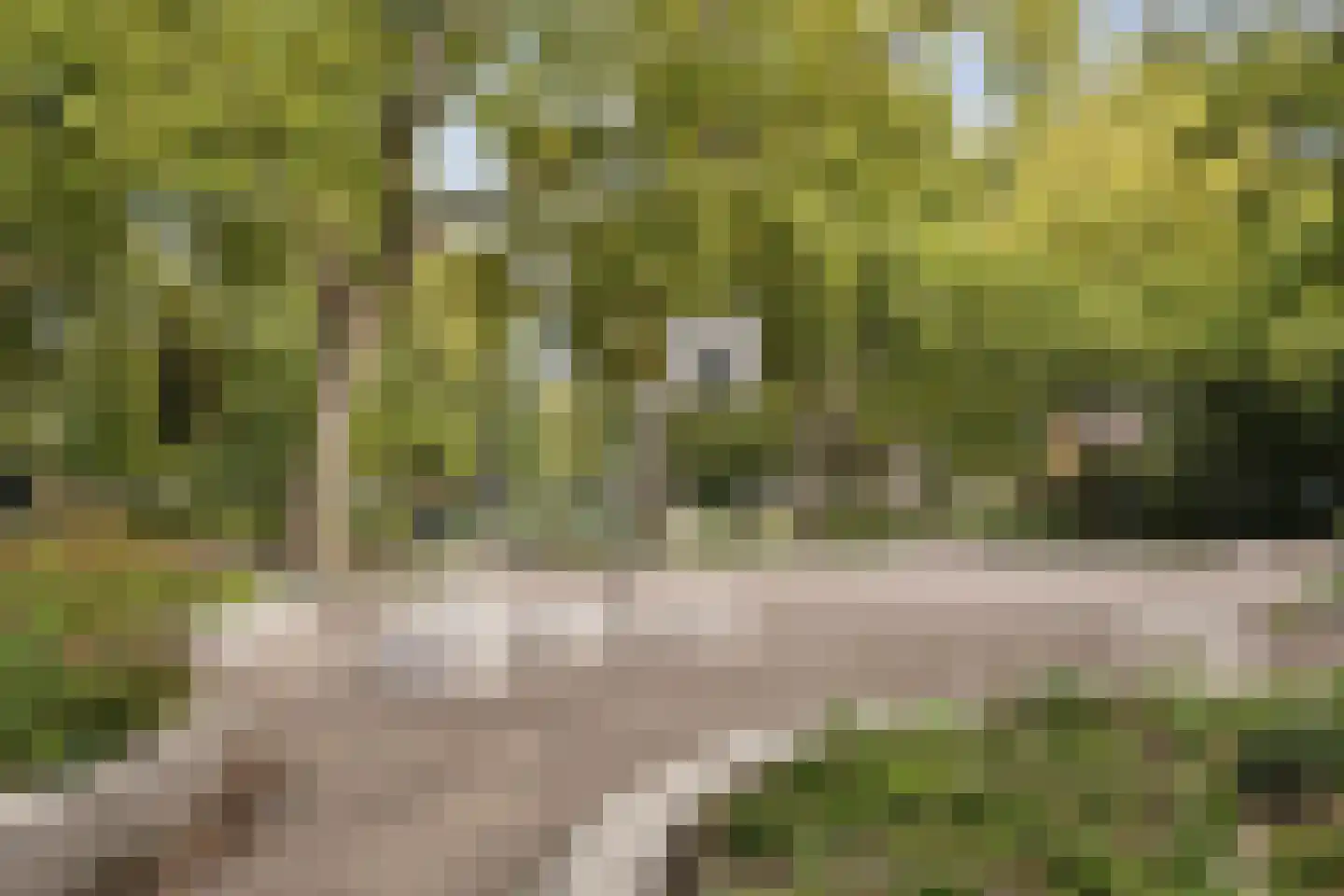 Frederik Hendrikplantsoen 11 B Amsterdam thumbnail 29