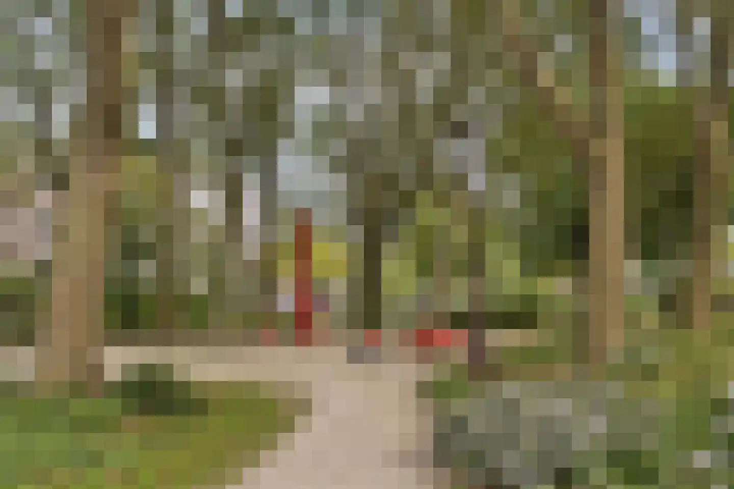 Frederik Hendrikplantsoen 11 B Amsterdam thumbnail 31