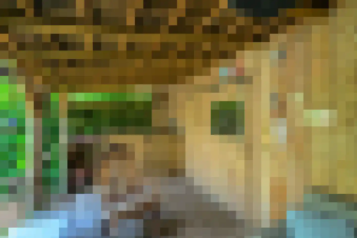 Frederik Hendrikplantsoen 5 Leiderdorp thumbnail 32