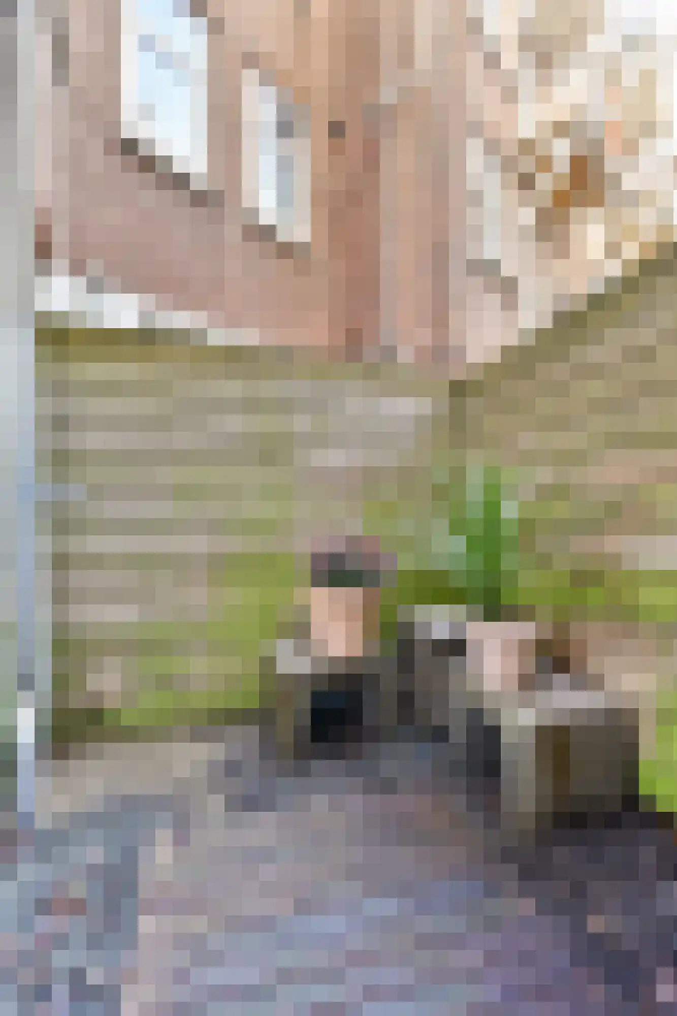 Frederik Hendrikplantsoen 96 H Amsterdam thumbnail 15