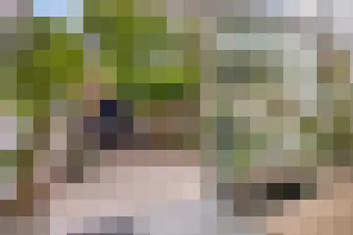 Frederik Hendrikplein 19 D Eindhoven thumbnail 13