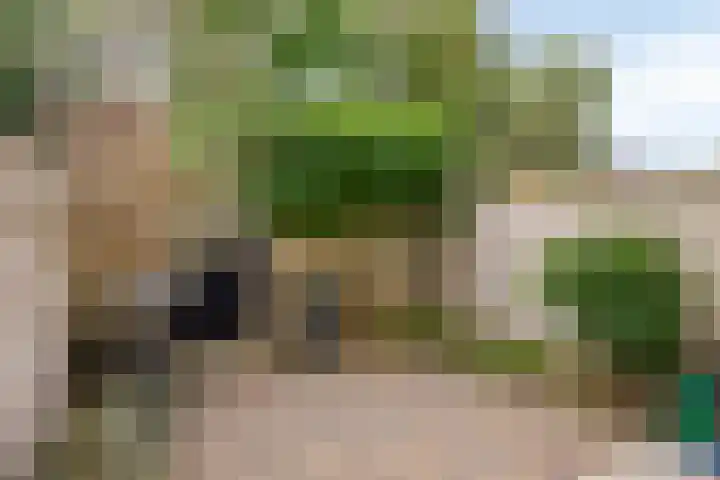 Frederik Hendrikplein 19 D Eindhoven thumbnail 39