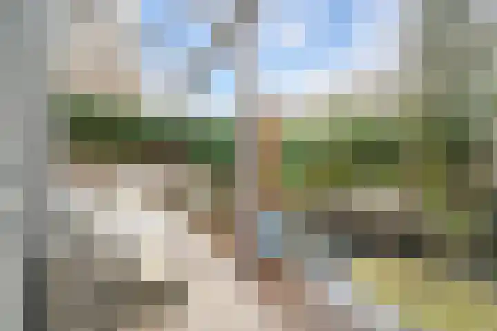 Frederik Hendrikplein 20 Den Haag thumbnail 17