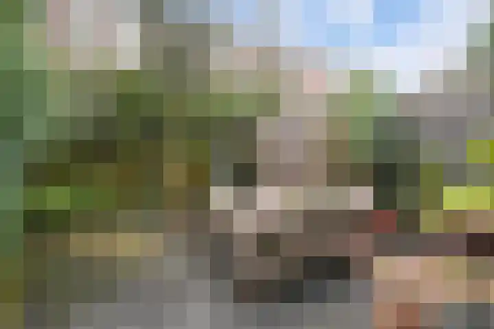 Frederik Hendrikplein 20 Den Haag thumbnail 20