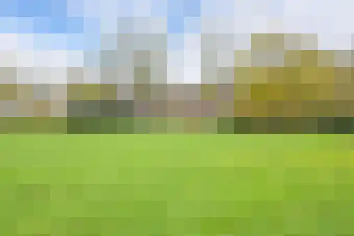 Frederik Hendrikplein 20 Den Haag thumbnail 6
