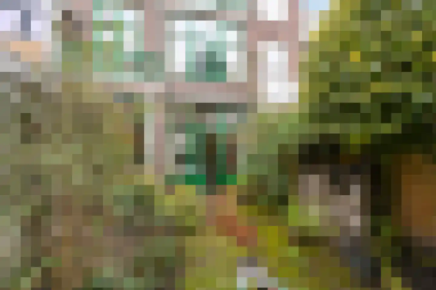 Frederik Hendrikplein 23 Den Haag thumbnail 18