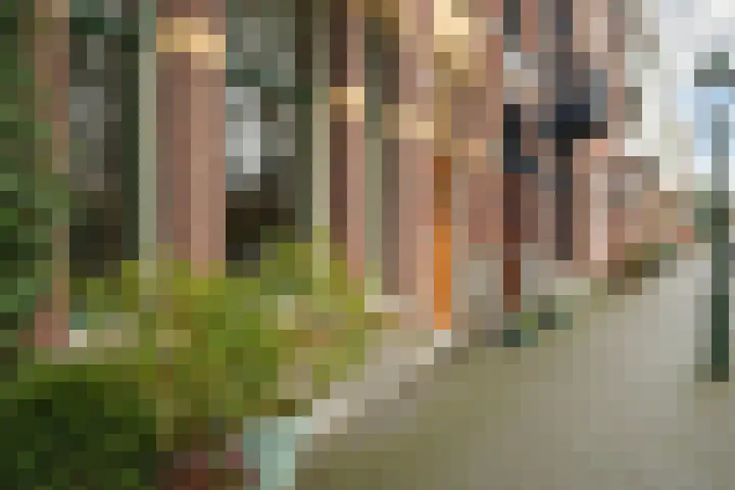 Frederik Hendrikplein 23 Den Haag thumbnail 8