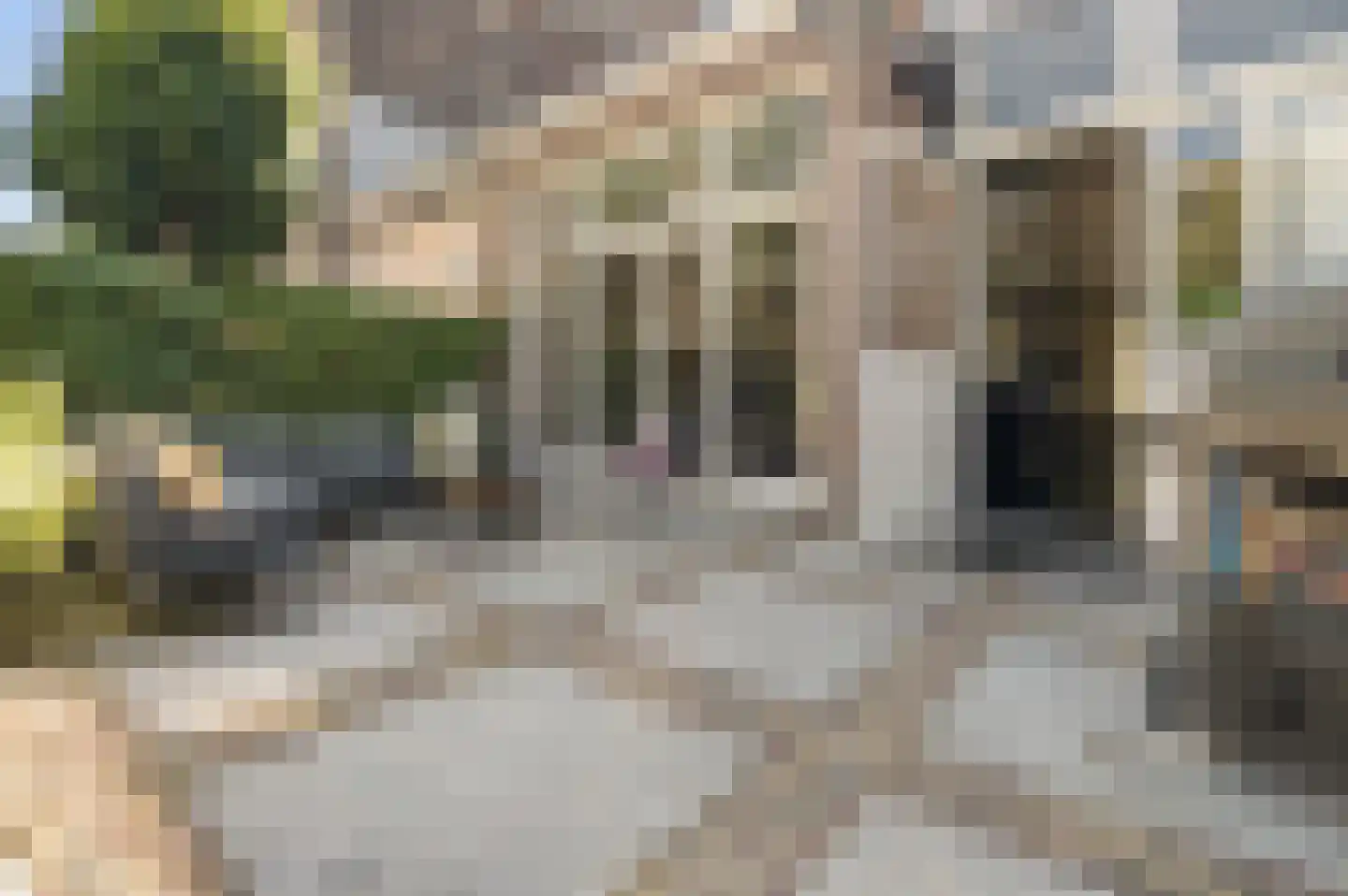 Frederik Hendrikplein 47 Den Haag thumbnail 26