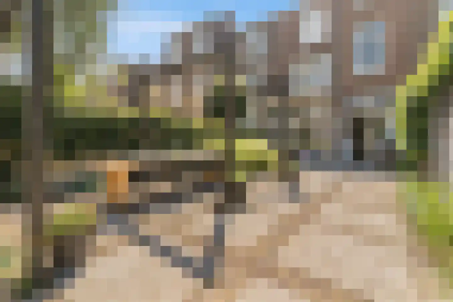 Frederik Hendrikplein 47 Den Haag thumbnail 39