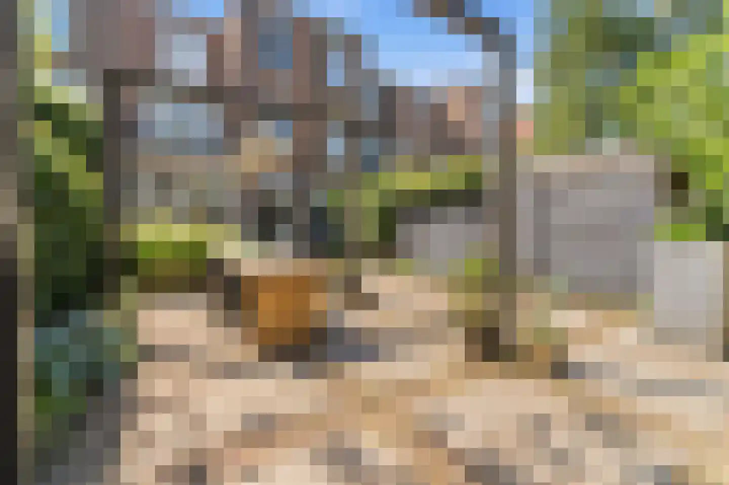 Frederik Hendrikplein 47 Den Haag thumbnail 4