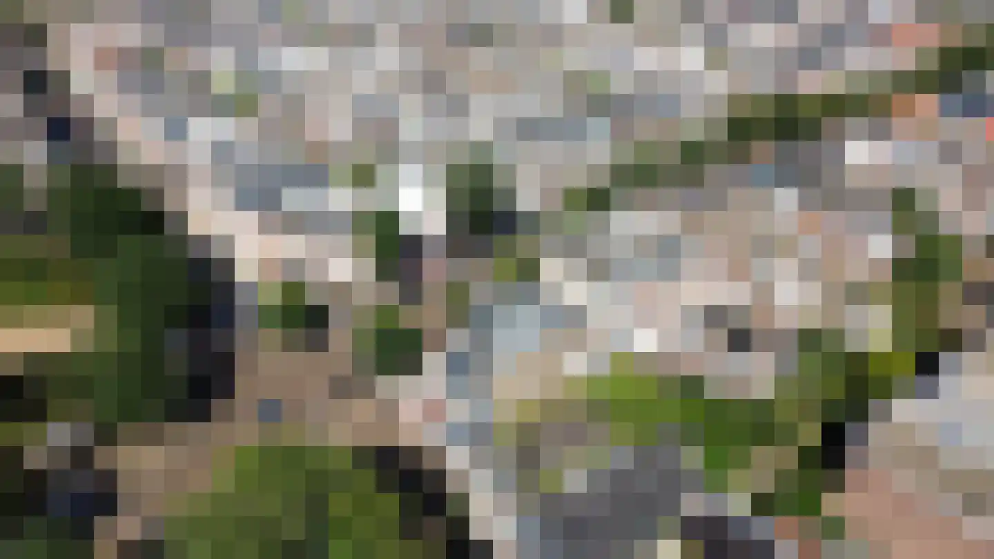 Frederik Hendrikplein 47 Den Haag thumbnail 87