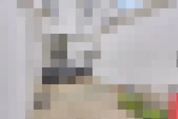 Frederik Hendrikstraat 11 Naaldwijk thumbnail 30