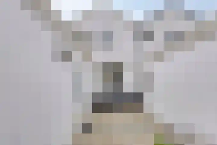 Frederik Hendrikstraat 11 Naaldwijk thumbnail 31