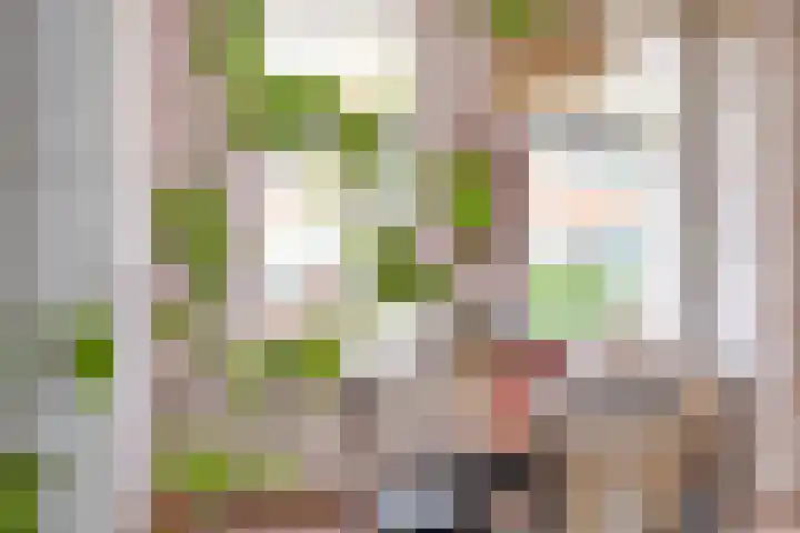 Frederik Hendrikstraat 11 Naaldwijk thumbnail 7