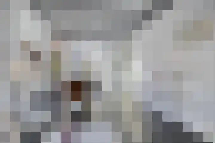 Frederik Hendrikstraat 14 Kampen thumbnail 4