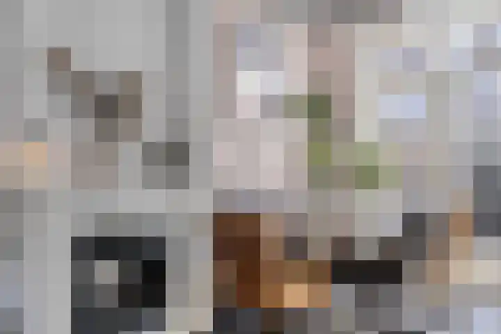 Frederik Hendrikstraat 14 Kampen thumbnail 5