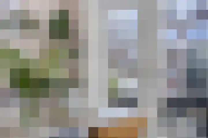 Frederik Hendrikstraat 14 Kampen thumbnail 6
