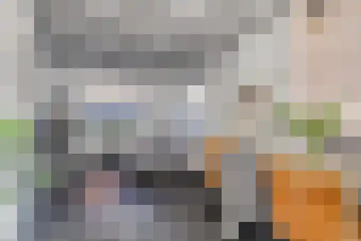 Frederik Hendrikstraat 14 Kampen thumbnail 7