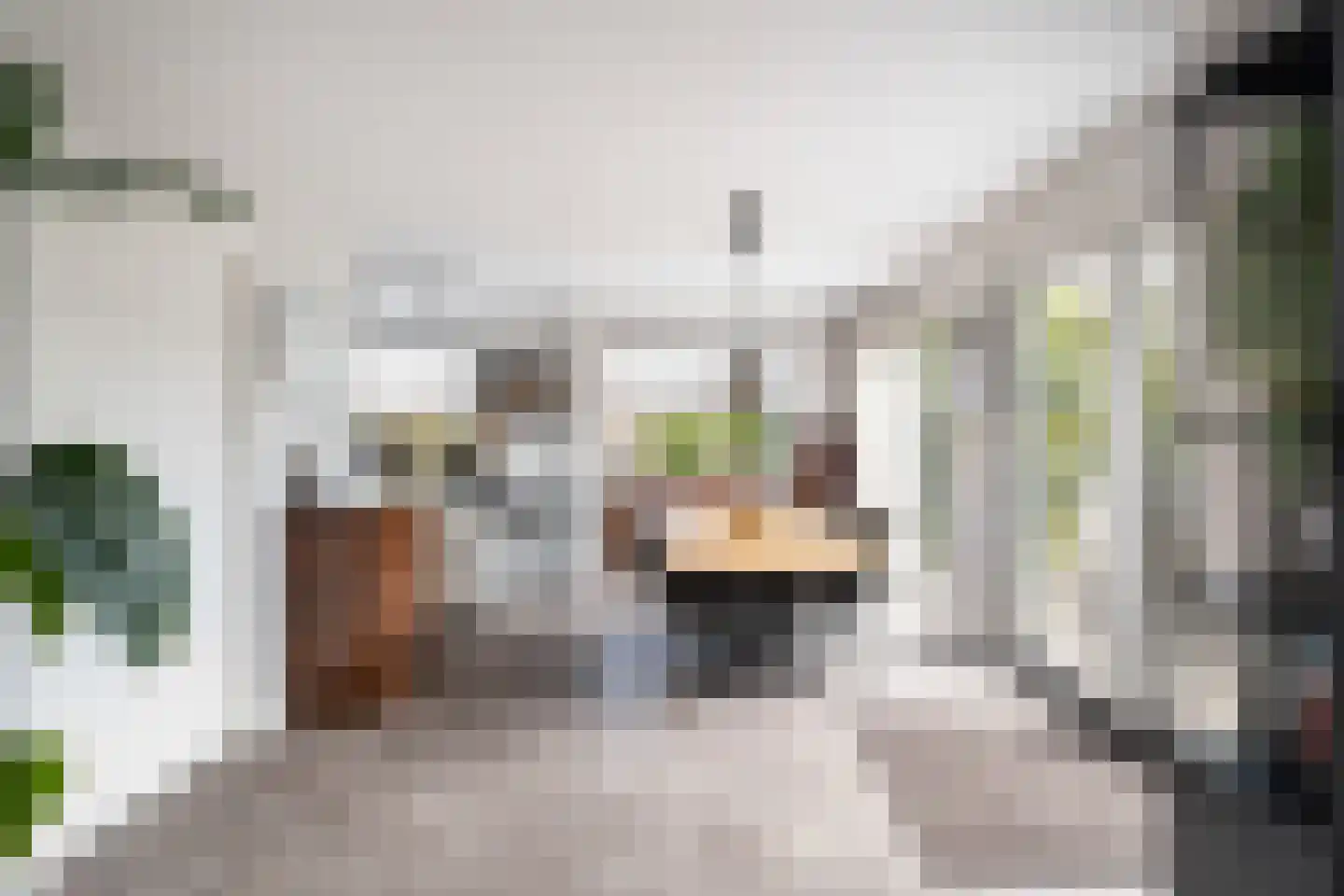 Frederik Hendrikstraat 15 Bleiswijk thumbnail 14
